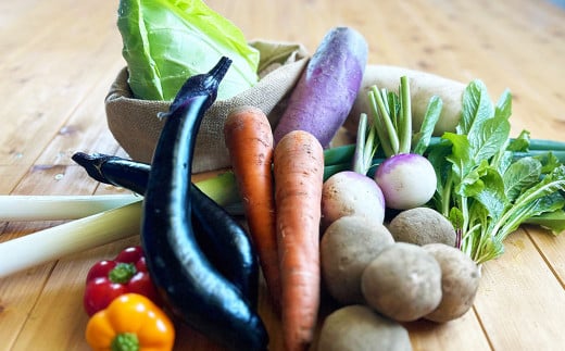 【有機JAS認定】【2ヶ月隔月定期便】季節の野菜詰め合わせ 〜有機野菜セットC〜 7種類〜8種類 季節 野菜 野菜セット 有機野菜 有機 詰め合わせ セット北海道北広島市20000野菜・きのこその他