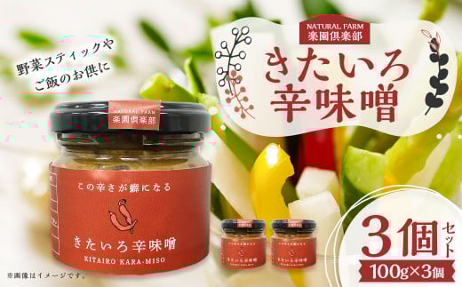 きたいろ辛味噌 3個セット 味噌 みそ ミソ 調味料 ご飯のお供 野菜スティック おつまみ 具沢山 健康志向北海道北広島市7500調味料・油味噌