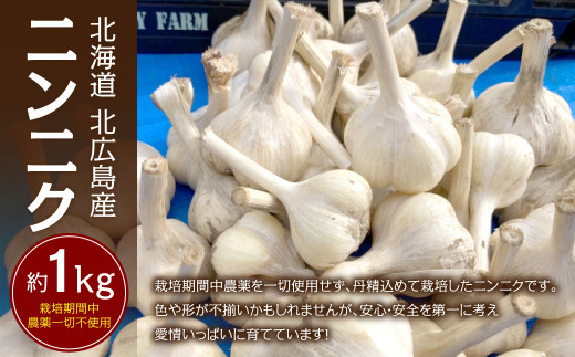 【2025年8月上旬〜2026年1月下旬発送予定】 北海道 北広島産 ニンニク 約1kg 野菜北海道北広島市12000野菜・きのこその他 野菜