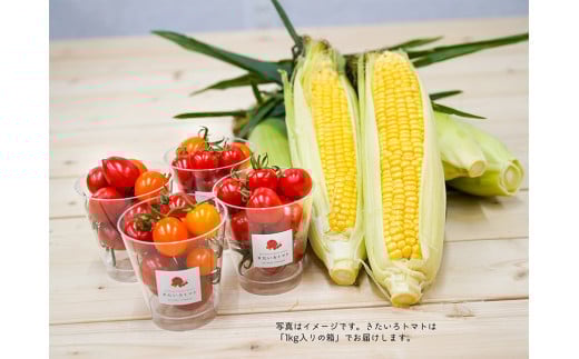 きたいろトマト (1.4kg)と 朝もぎトウキビ (14本)のセット 【2026年8月上旬〜9月上旬発送迄予定】 トマト とうもろこし トウモロコシ 野菜 朝採れ オーガニック北海道北広島市24000野菜・