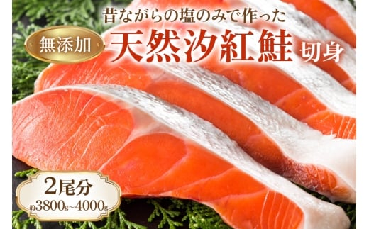 sVR gؐgt2 (3800g4000g) ̂Ȃ̃Vv@^Ő [1146]{Qs48000ECYN