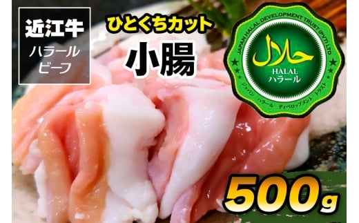 ߍ] ЂƂJbg 500g nr[tbߍ] r[t  500g [1168]{Qs6000