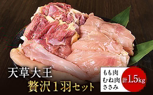 天草大王 贅沢1羽セット 約1.5kg【幻の地鶏】もも・むね・ささみ 各2枚《60日以内に出荷予定(土日祝除く)》熊本県荒尾市17000肉鶏肉