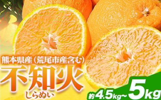 不知火 約4.5kg〜5kg フレッシュフーズ 《2月下旬-4月下旬頃出荷》熊本県産(荒尾市産含む) 柑橘 フルーツ フレッシュフーズ 不知火 果物 デコポン と同品種  果物 シラヌヒ シラヌイ熊本県荒尾