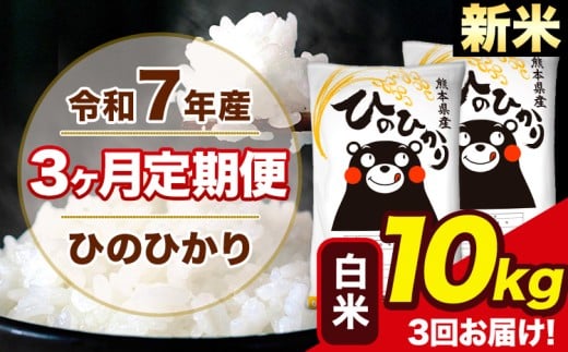新米 令和7年産 【3ヶ月定期便】 ひのひかり 白米 10kg 5kg×2袋 計3回お届け 熊本県産 白米 精米 荒尾市 ひの《1月から出荷開始》熊本県荒尾市76500米・パン白米