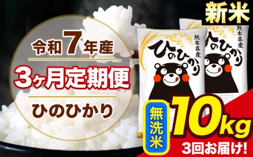 V ߘa7NY y3ցz Ђ̂Ђ  10kg 5kg×2 v3񂨓͂ F{Y  R   rs Ђ   s1o׊JntF{rs76500āEp
