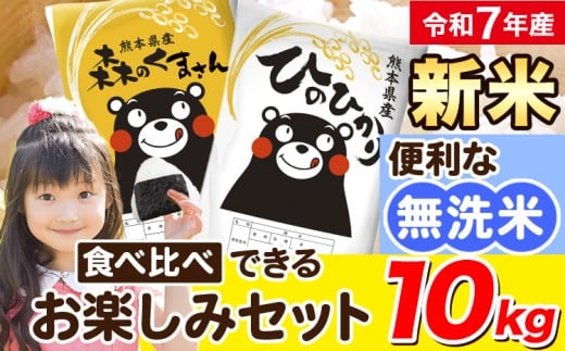 令和7年産 新米 無洗米 ひのひかり 森のくまさん 2種 食べ比べ 米 10kg 《12月中旬-2月末頃出荷》 ヒノヒカリ お米 こめ 高レビュー  熊本県産(荒尾市産含む) 精米 荒尾市 森くま ブランド米