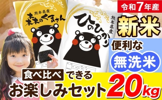 令和7年産 新米 無洗米 ひのひかり 森のくまさん 2種 食べ比べ 米 20kg 《12月中旬-2月末頃出荷》 ヒノヒカリ お米 こめ 高レビュー  熊本県産(荒尾市産含む) 精米 荒尾市 森くま ブランド米