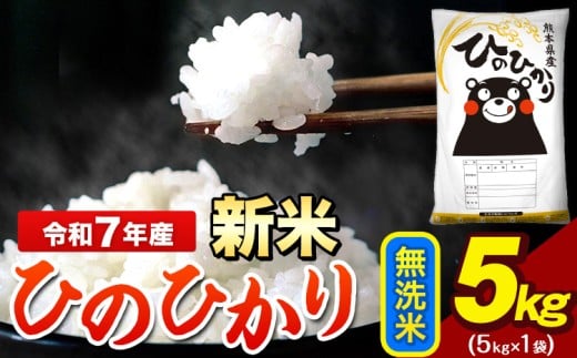 新米 令和7年産 ひのひかり 無洗米 5kg 《12月中旬-2月末頃出荷》 5kg×1袋 熊本県産(荒尾市産含む) 米 精米 ひの熊本県荒尾市13000米・パン白米