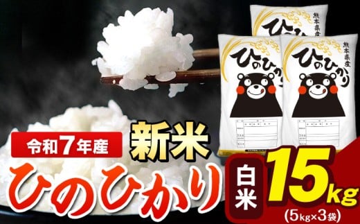 新米 令和7年産 ひのひかり 白米 15kg 《12月中旬-2月末頃出荷》 5kg×3袋 熊本県産(荒尾市産含む) 米 精米 ひの熊本県荒尾市38000米・パン白米