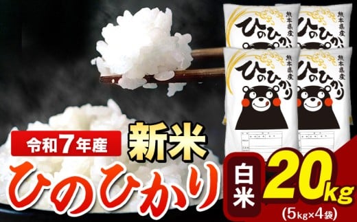 新米 令和7年産  ひのひかり 白米 20kg 《12月中旬-2月末頃出荷》 5kg×4袋 熊本県産(荒尾市産含む) 米 精米 ひの熊本県荒尾市50500米・パン白米