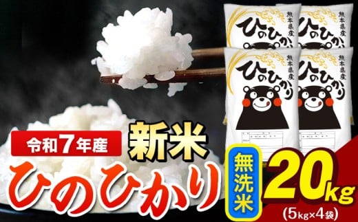 新米 令和7年産 ひのひかり 無洗米 20kg 《12月中旬-2月末頃出荷》 5kg×4袋 熊本県産(荒尾市産含む) 米 精米 ひの熊本県荒尾市50500米・パン白米