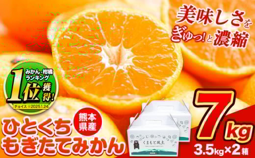【2025年先行予約】訳あり みかん ひとくちもぎたてみかん 約 7kg (3.5kg×2箱) S-3Sサイズ 訳あり ご家庭用 熊本県産 (荒尾市産含む) 期間限定 フルーツ 果物 旬 冬 柑橘 小玉 みかん《2025年10月