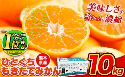 【2025年先行予約】訳あり みかん ひとくちもぎたてみかん 約 10kg (10kg×1箱) S-3Sサイズ 訳あり ご家庭用 熊本県産 (荒尾市産含む) 期間限定 フルーツ 果物 旬 冬 柑橘 小玉 みかん《2025年10月