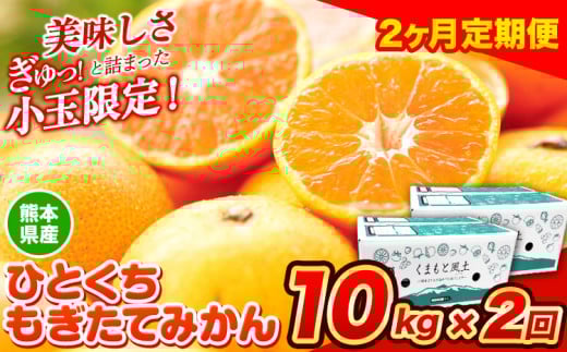 訳あり みかん ひとくちもぎたてみかん 約10kg (10kg×1箱) 2ヶ月定期便 S-3Sサイズ 訳あり S SS 3S ご家庭用 20kg 熊本県産 (荒尾市産含む) 小玉みかん 訳ありみかん ご家庭用みかん フルーツみか