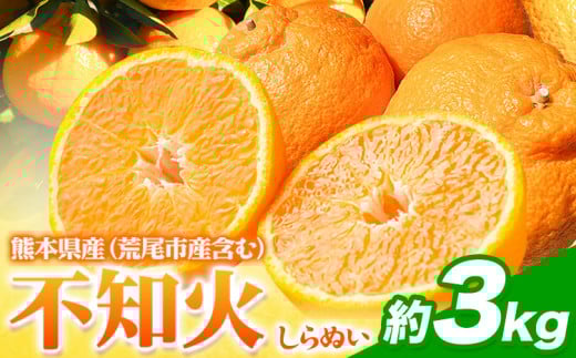 不知火 約3kg フレッシュフーズ 《2月下旬-4月下旬頃出荷》熊本県産 (荒尾市産含む) 柑橘 フルーツ フレッシュフーズ 不知火 果物 デコポン と同品種  果物 しらぬい 旬 オレンジ みかん熊本
