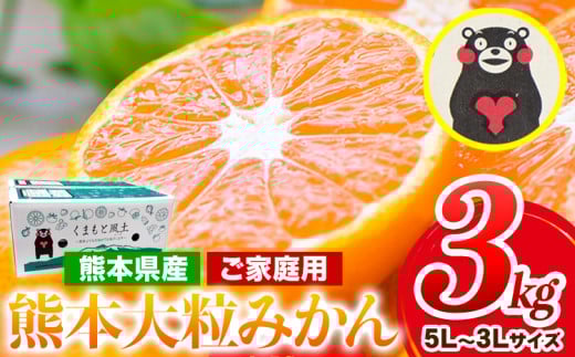 ݂ 󂠂  嗱 ~J 3kg F{  󂠂  5L`3LTCY Ղ F{Y(rsY܂) F{ Ԍ t[c { k ƒp rs 嗱s2026N1{-2o