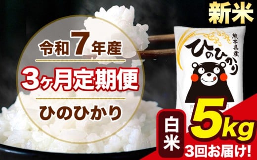 新米 令和7年産 【3ヶ月定期便】 ひのひかり 白米 5kg 5kg×1袋 計3回お届け 熊本県産 こめ コメ 白米 精米 荒尾市 ひの 米 定期 《1月から出荷開始》熊本県荒尾市39000米・パン白米
