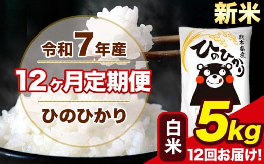 新米 令和7年産 【12ヶ月定期便】 ひのひかり 白米 5kg 5kg×1袋 計12回お届け 熊本県産 こめ コメ 白米 精米 荒尾市 ひの 米 定期 《1月から出荷開始》熊本県荒尾市156000米・パン白米