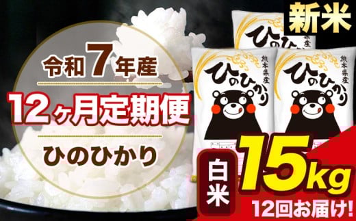 新米 令和7年産 【12ヶ月定期便】 ひのひかり 白米 15kg 5kg×3袋 計12回お届け 熊本県産 こめ コメ 白米 精米 荒尾市 ひの 米 定期 《1月から出荷開始》熊本県荒尾市456000米・パン白米