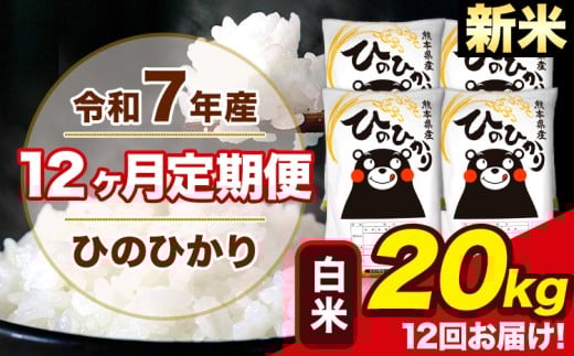 新米 令和7年産 【12ヶ月定期便】 ひのひかり 白米 20kg 5kg×4袋 計12回お届け 熊本県産 こめ コメ 白米 精米 荒尾市 ひの 米 定期 《1月から出荷開始》熊本県荒尾市606000米・パン白米