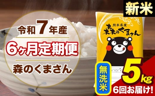 【6ヶ月定期便】令和7年産 新米 森のくまさん 無洗米 5kg 5kg×1袋 計6回お届け《1月から出荷開始》お米 こめ 熊本県産 ご飯 備蓄熊本県荒尾市78000米・パン無洗米