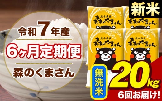 y6ցzߘa7NY V X̂܂  20kg 5kg×4 v6񂨓͂s1o׊Jnt  F{Y  ~F{rs303000āEp