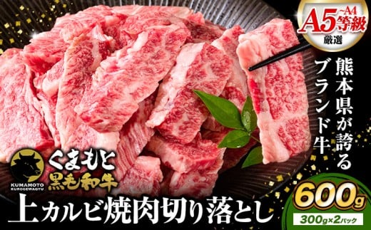 牛肉くまもと黒毛和牛 上 カルビ 焼肉 切り落とし 600g 《7-14日以内に出荷予定(土日祝除く)》熊本県 荒尾市 上カルビ 焼肉用 黒毛和牛 焼肉 肉 お肉 和牛 A5 A4 300g 小分け熊本県荒尾市11000肉牛