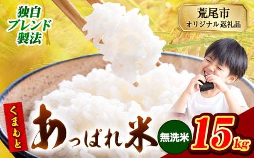 熊本県産 くまもとあっぱれ米 ブレンド米 15kg 熊本県産 ふるさと納税 無洗米 精米 米 こめ ふるさとのうぜい コメ お米 おこめ《12月中旬-2月末頃出荷》熊本県荒尾市35000米・パン白米