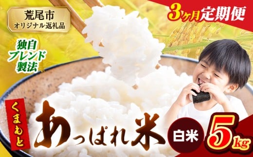 【3ヶ月定期便】熊本県産 くまもとあっぱれ米 ブレンド米 5kg 熊本県産 ふるさと納税 白米 精米 米 こめ ふるさとのうぜい コメ お米 おこめ《1月から出荷開始》熊本県荒尾市36000米・パン白