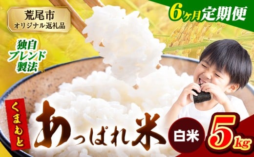 【6ヶ月定期便】熊本県産 くまもとあっぱれ米 ブレンド米 5kg 熊本県産 ふるさと納税 白米 精米 米 こめ ふるさとのうぜい コメ お米 おこめ《1月から出荷開始》熊本県荒尾市72000米・パン白