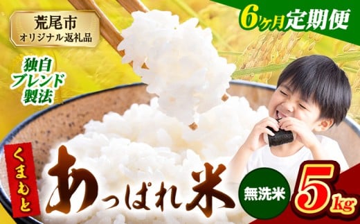 【6ヶ月定期便】熊本県産 くまもとあっぱれ米 ブレンド米 5kg 熊本県産 ふるさと納税 無洗米 精米 米 こめ ふるさとのうぜい コメ お米 おこめ《1月から出荷開始》熊本県荒尾市72000米・パン