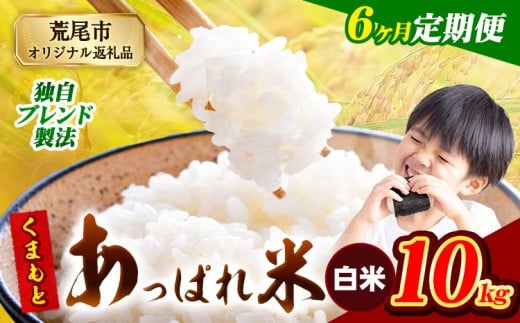 【6ヶ月定期便】熊本県産 くまもとあっぱれ米 ブレンド米 10kg 熊本県産 ふるさと納税 白米 精米 米 こめ ふるさとのうぜい コメ お米 おこめ《1月から出荷開始》熊本県荒尾市141000米・パン