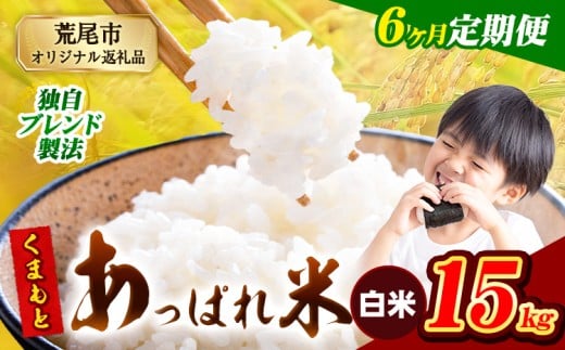 【6ヶ月定期便】熊本県産 くまもとあっぱれ米 ブレンド米 15kg 熊本県産 ふるさと納税 白米 精米 米 こめ ふるさとのうぜい コメ お米 おこめ《1月から出荷開始》熊本県荒尾市210000米・パン