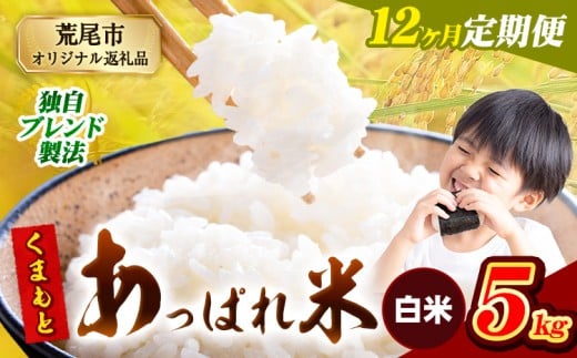【12ヶ月定期便】熊本県産 くまもとあっぱれ米 ブレンド米 5kg 熊本県産 ふるさと納税 白米 精米 米 こめ ふるさとのうぜい コメ お米 おこめ《1月から出荷開始》熊本県荒尾市144000米・パン
