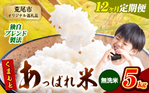【12ヶ月定期便】熊本県産 くまもとあっぱれ米 ブレンド米 5kg 熊本県産 ふるさと納税 無洗米 精米 米 こめ ふるさとのうぜい コメ お米 おこめ《1月から出荷開始》熊本県荒尾市144000米・パ