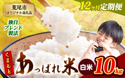 【12ヶ月定期便】熊本県産 くまもとあっぱれ米 ブレンド米 10kg 熊本県産 ふるさと納税 白米 精米 米 こめ ふるさとのうぜい コメ お米 おこめ《1月から出荷開始》熊本県荒尾市282000米・パン