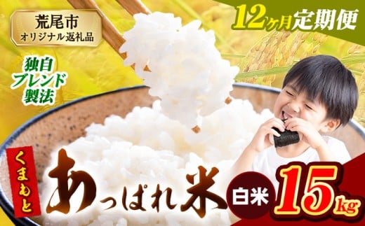 【12ヶ月定期便】熊本県産 くまもとあっぱれ米 ブレンド米 15kg 熊本県産 ふるさと納税 白米 精米 米 こめ ふるさとのうぜい コメ お米 おこめ《1月から出荷開始》熊本県荒尾市420000米・パン