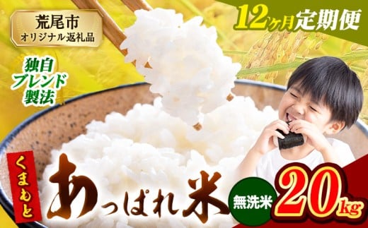 【12ヶ月定期便】熊本県産 くまもとあっぱれ米 ブレンド米 20kg 熊本県産 ふるさと納税 無洗米 精米 米 こめ ふるさとのうぜい コメ お米 おこめ《1月から出荷開始》熊本県荒尾市558000米・パ