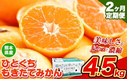 【2025年先行予約】【2か月定期便】訳あり みかん ひとくちもぎたてみかん 約 4.5kg (4.5kg×1箱) S-3Sサイズ 訳あり ご家庭用 熊本県産 (荒尾市産含む) 期間限定 フルーツ 果物 旬 冬 柑橘 小玉