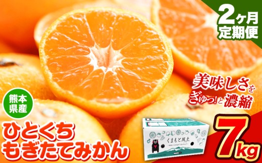 【2025年先行予約】【2か月定期便】訳あり みかん ひとくちもぎたてみかん 約 7kg (7kg×1箱) S-3Sサイズ 訳あり ご家庭用 熊本県産 (荒尾市産含む) 期間限定 フルーツ 果物 旬 冬 柑橘 小玉 み