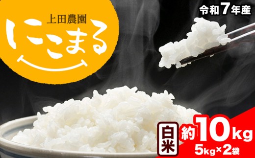 令和7年産 米 にこまる 約10kg (5kg×2袋) こめ コメ 白米 上田農園《10月中旬-11月中旬頃出荷》 熊本県 荒尾市 米 白米 こめ熊本県荒尾市23500米・パン白米