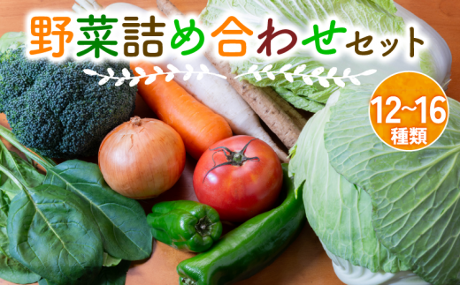 竜王産 野菜詰め合わせセット 野菜セット 野菜 詰め合わせ 食材 新鮮 旬 産地直送 滋賀県 竜王町 滋賀県竜王町10000野菜・きのこその他 野菜