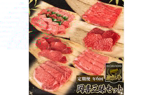 定期便 6ヶ月 近江牛 計4080g 冷凍 黒毛和牛 ( 定期便 全6回 肉 サーロイン 特選 焼肉 フィレ ランプ ブランド 近江牛 三大和牛 贈り物 ギフト プレゼント  滋賀県 竜王 岡喜 神戸牛 松阪牛 に並