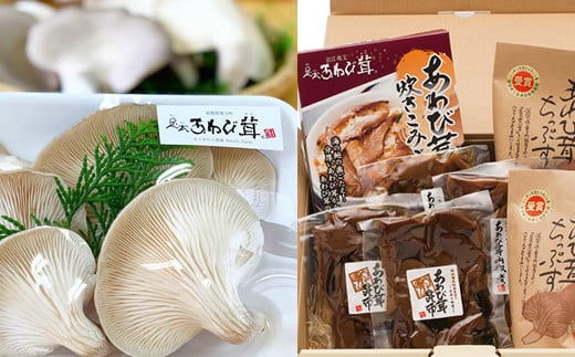 あわび茸 プレミアムセット きのこ 足太あわび茸 炊き込みご飯の素 佃煮 2種 山椒煮 昆布煮 チップス 国産 滋賀県 竜王町  贈り物 ギフト プレゼント おかず おつまみ おやつ滋賀県竜王町1700