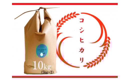 【令和6年産 特別栽培 近江米 『コシヒカリ』10kg(5kg×2)】米 近江米 こしひかり 滋賀県 竜王滋賀県竜王町25000米・パン白米