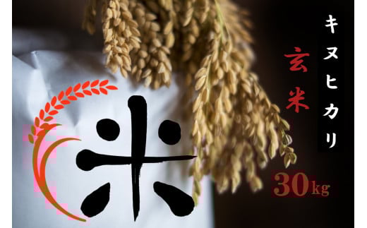 【令和7年産 特別栽培 近江米 『キヌヒカリ』玄米30kg】米 近江米 キヌヒカリ ブランド米 滋賀県 竜王滋賀県竜王町80000米・パン玄米・雑穀米・もち米・餅