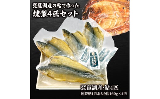 iΎŸ  160g×SCZbg (   ӂȂ yHi Ђ  ܂  ̍ i q    ꌧ  i  )ꌧ15000ECYN