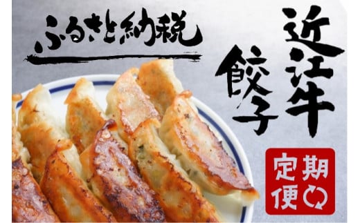 【近江牛餃子の会】定期便 全3回】 肉 牛肉 ブランド牛 三大和牛 和牛 黒毛和牛 贈り物 ギフト プレゼント 滋賀県 竜王滋賀県竜王町23000肉その他 肉