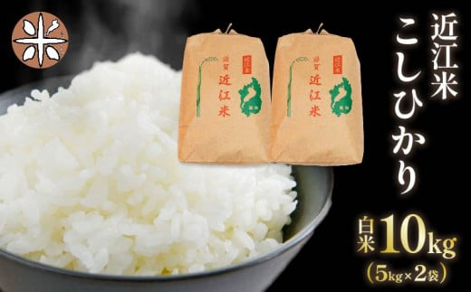 令和7年産 白米 10s こしひかり 5kg × 2袋 精米 近江米 コシヒカリ 国産 お米 米 おこめ ごはん ご飯 白飯 しろめし こめ ゴハン 御飯 滋賀県産 竜王 ふるさと ランキング 人気 おすすめ滋賀県